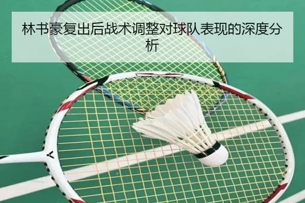 林书豪复出后战术调整对球队表现的深度分析