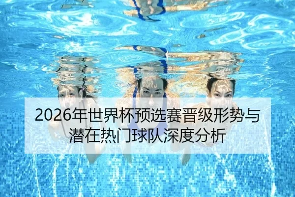 2026年世界杯预选赛晋级形势与潜在热门球队深度分析